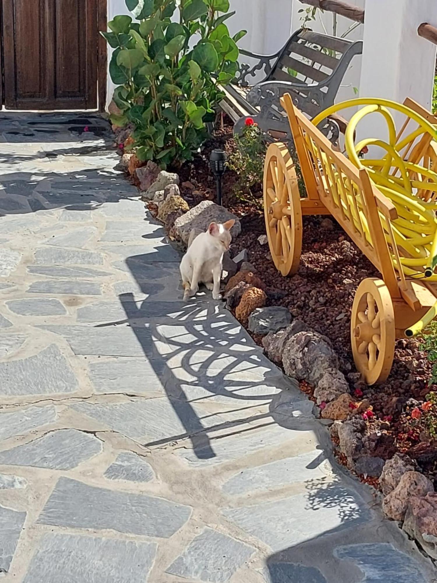 New Cave With Pool See View And Garden Santa Cruz de Tenerife Exterior foto